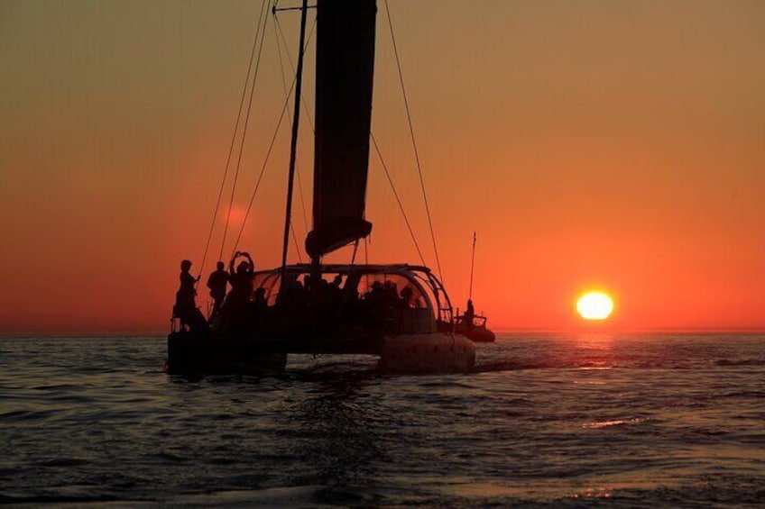 Cape Town Sunset 1.5 Hour - Escape Cat