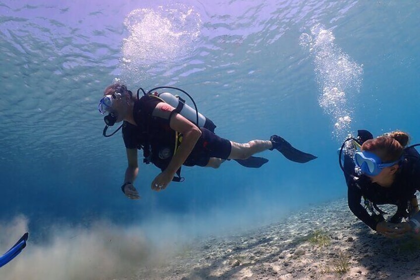 Slow descent into the wonderful underwater world