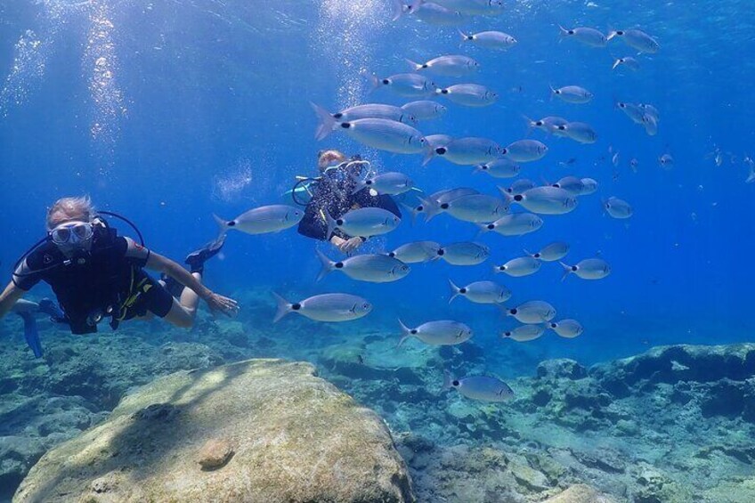 Fascinating underwater world