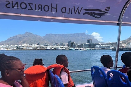 30 Minute Harbour Cruise in Cape town
