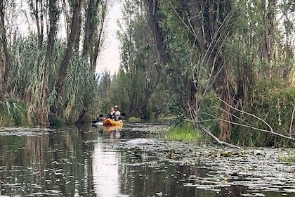 3 Hours of Kayaking at the Ancient Canals of Xochimilco