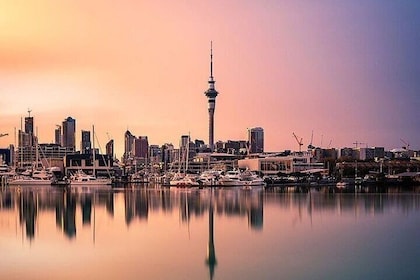 Auckland City Highlights Full Day Tour