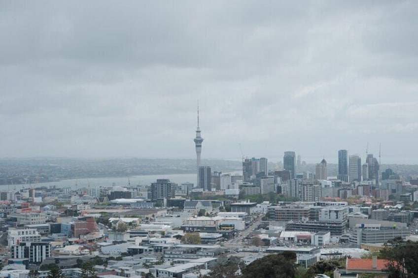 Auckland City Highlights Full Day Tour