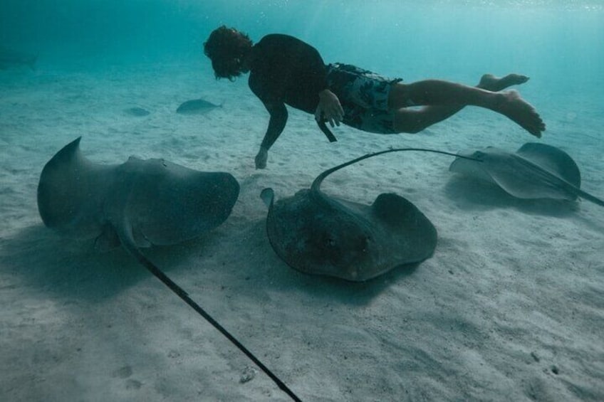 Private Half Day Snorkeling in Moorea