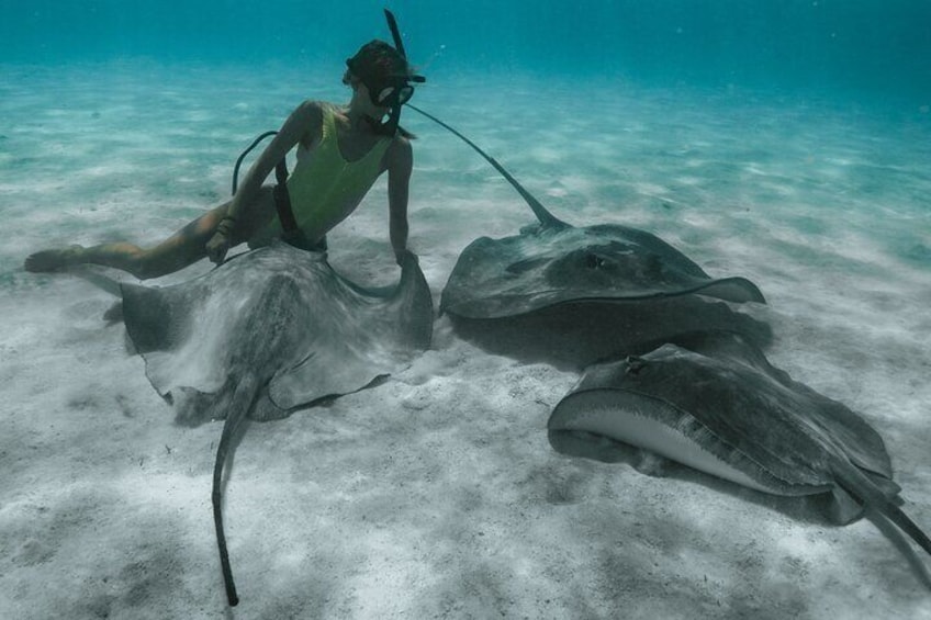 Private Half Day Snorkeling in Moorea