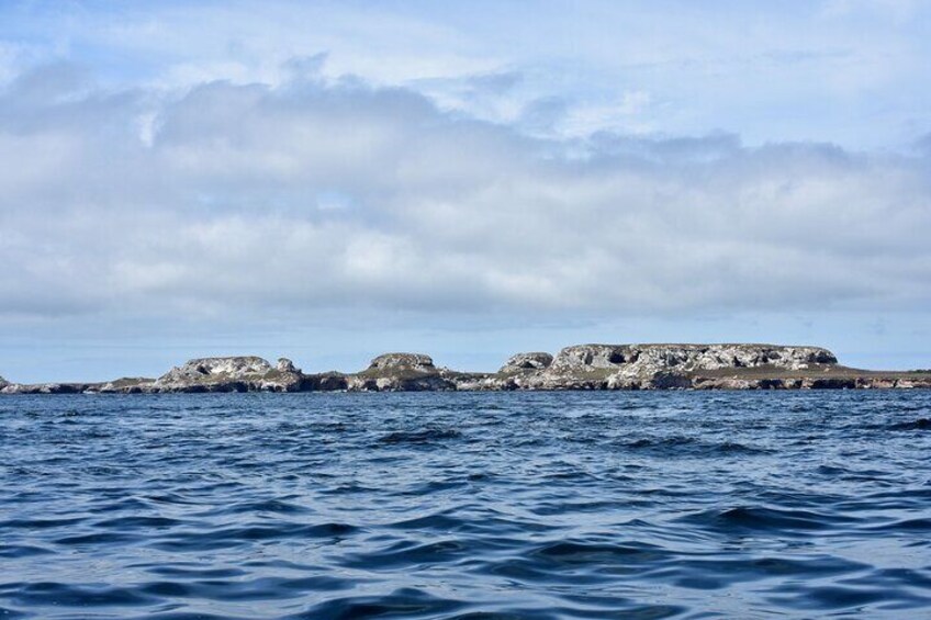 Full Day Tour to Islas Marietas, Nopalera Beach in Catamaran