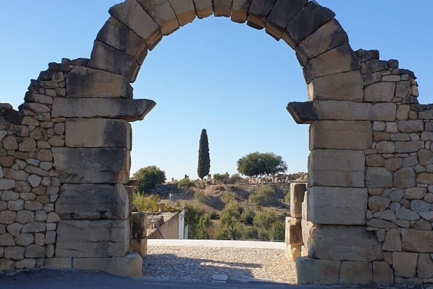 a day in Meknes Volubilis and Moulay Idriss from Fes