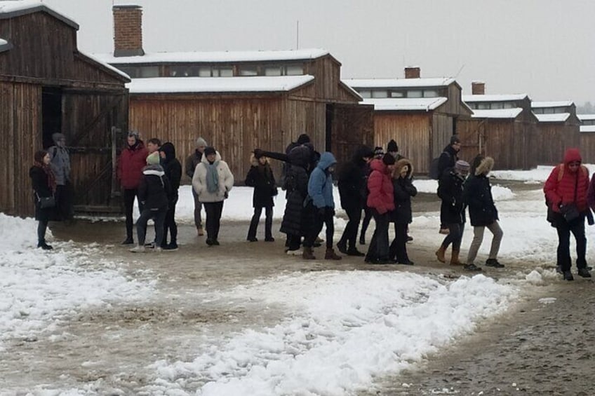 Auschwitz Museum and Salt Mine Tour with Private Transport