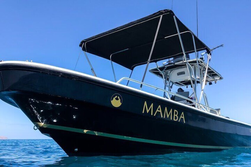 Mamba