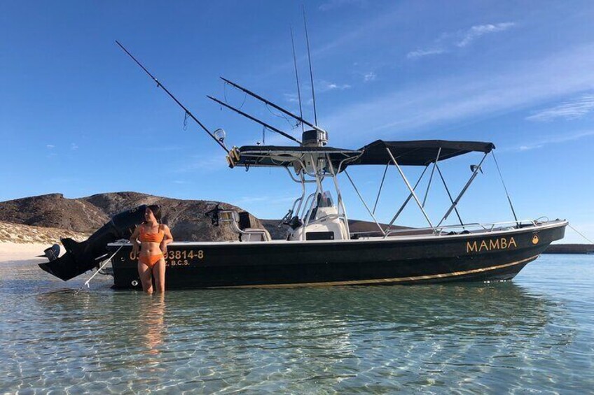 Mamba