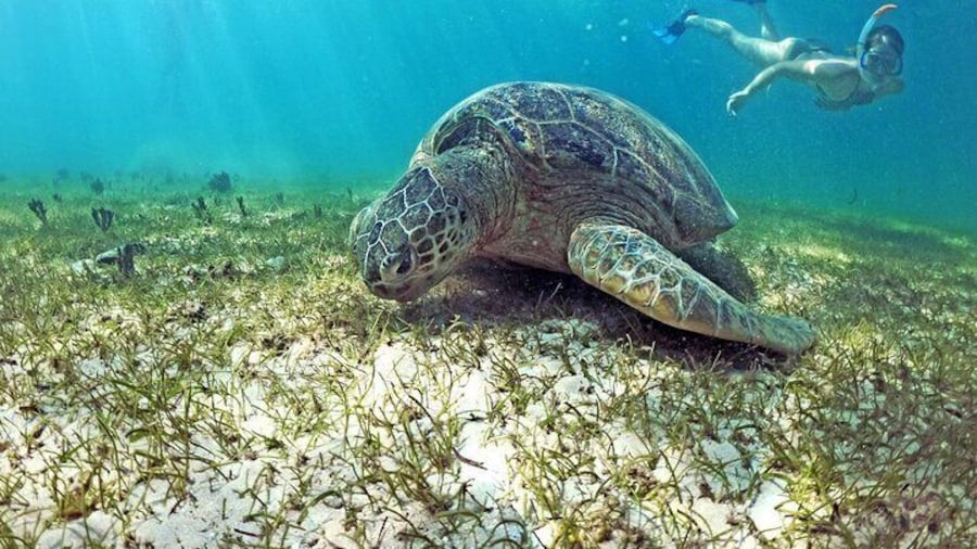 Exploring Nosy Sakatia with guide