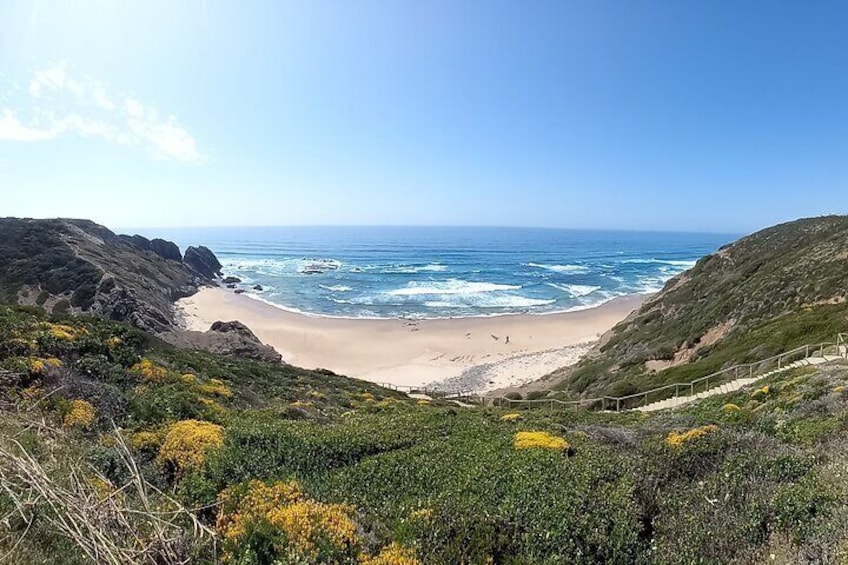 West coast beach trip, SUP, Surf sun and fun BBQ.