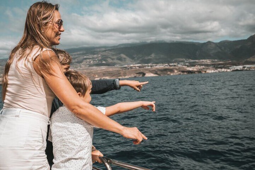 clients watching whales and dolphins