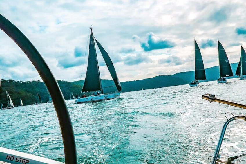 See the racing yachts on Pittwater
