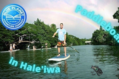 Noleggio di paddle board sul fiume Haleiwa con Blue Planet Adventure Co.