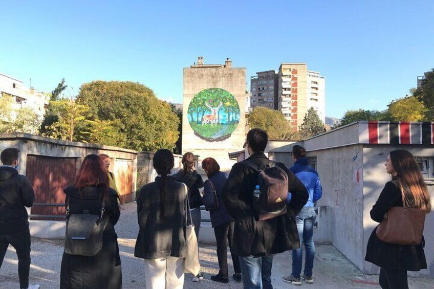 2-Hour Street Art Guided Tour in Mostar