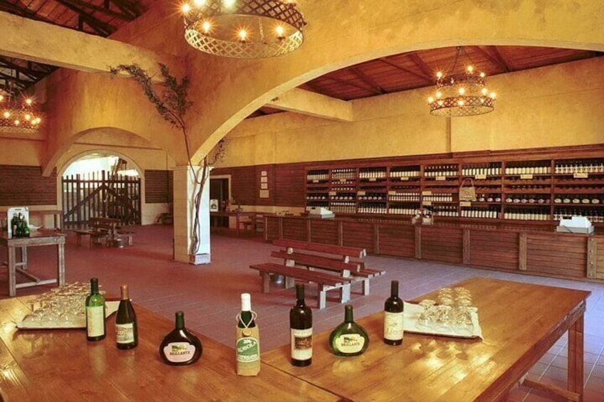 Robola Winery