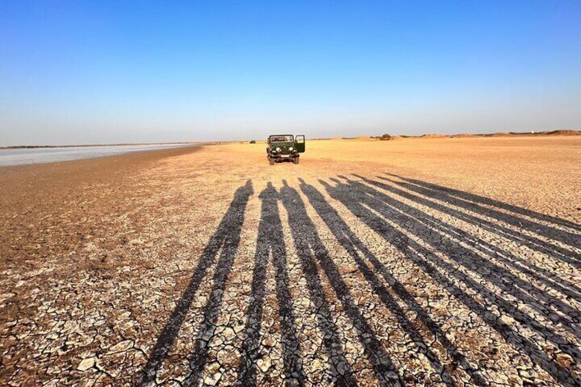 White Desert - Little Rann of Kutch