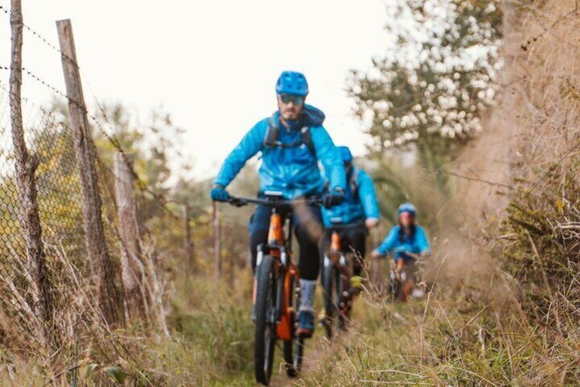 Mozzarella Cheese and MTB e-bike Tour in Sorrento