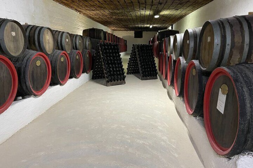 Cricova Cellars - Visit and tasting session