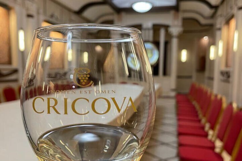 Cricova Cellars - Visit and tasting session