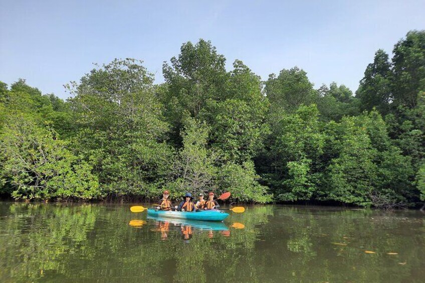 Morning kayaking at Tanjung Mas Batu 2, Sepang River. Enjoy the quietness and listen to nature. 