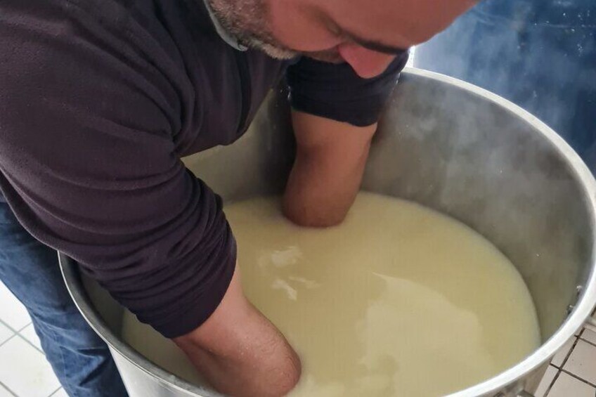 Live a shepherd experience with typical lunch in Bitti