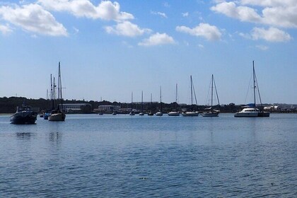 Private Tour 6 hours by Boat on the Tagus