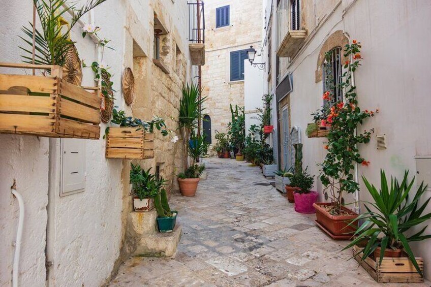 Alberobello, Castellana Caves and Polignano Day Trip from Bari