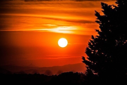 Sunset Hike in Fiesole with Aperitivo