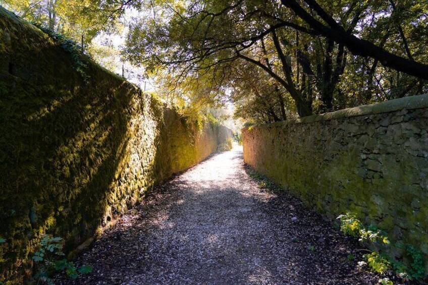 Private Experience Hiking Activity in Fiesole