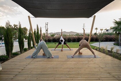 Traditional Yoga Classes - Daily