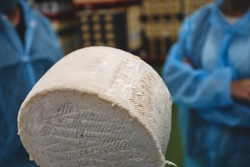 Visit La Antigua Cheese Factory (Cheese Tourism)