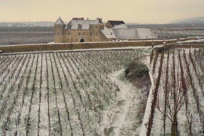 “Private Trip and Wine Tasting in Burgundy”