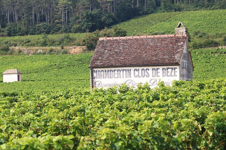 "Wine tasting tours in Burgundy"