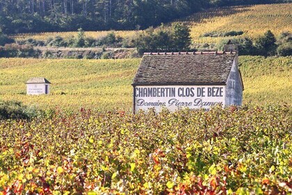 “Private Trip and Wine Tasting in Burgundy”