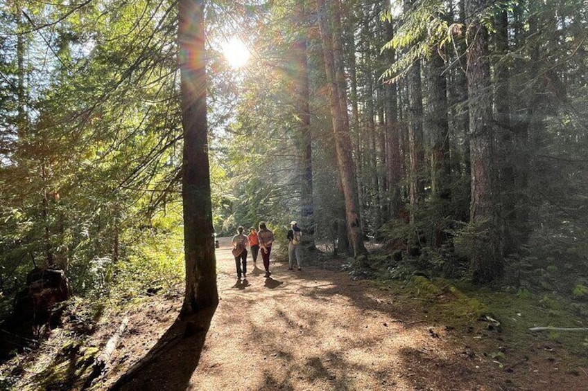 Nature Walks in Pacific