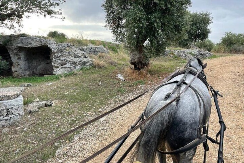 Horseback riding through the Apulian countryside