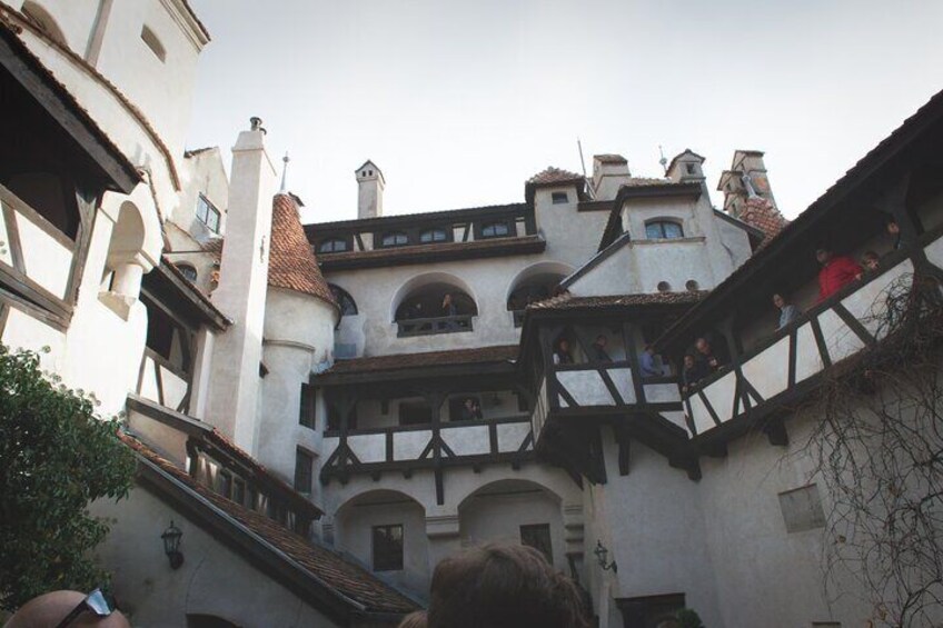 Libearty Bear Sanctuary & Dracula's Castle Private Day Tour