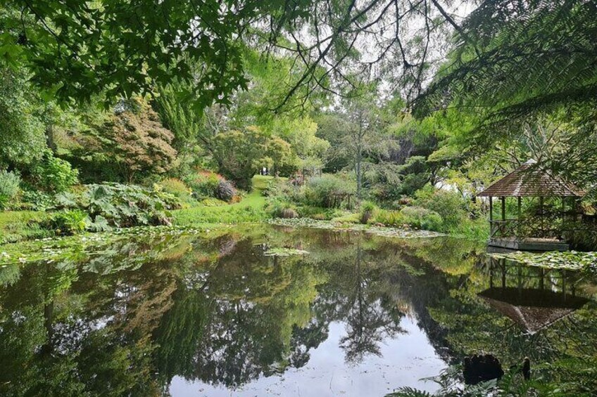 Auckland Nature Tour 