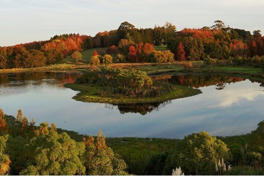 Auckland Nature Tour 