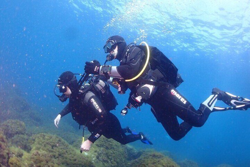 Private diving baptism in the Golf of Calvi