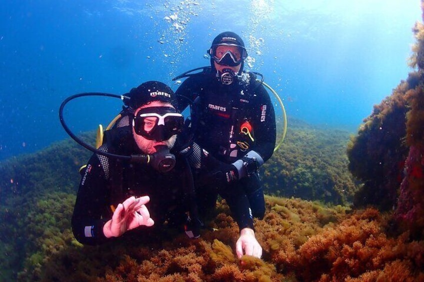 Private diving baptism in the Golf of Calvi