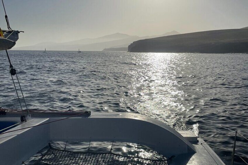 Whale & Dolphin Observation on Silent Catamaran with Hydrophone