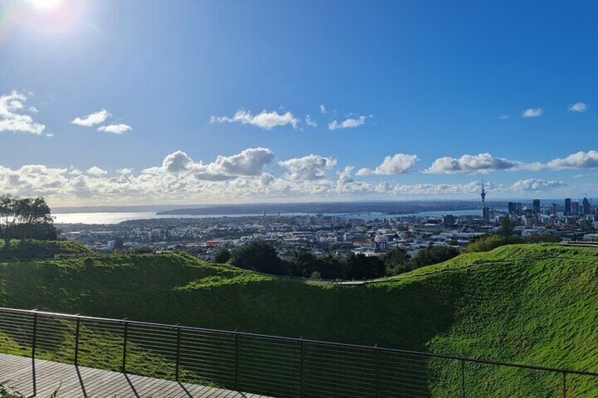 Auckland City Highlights Half Day Tour