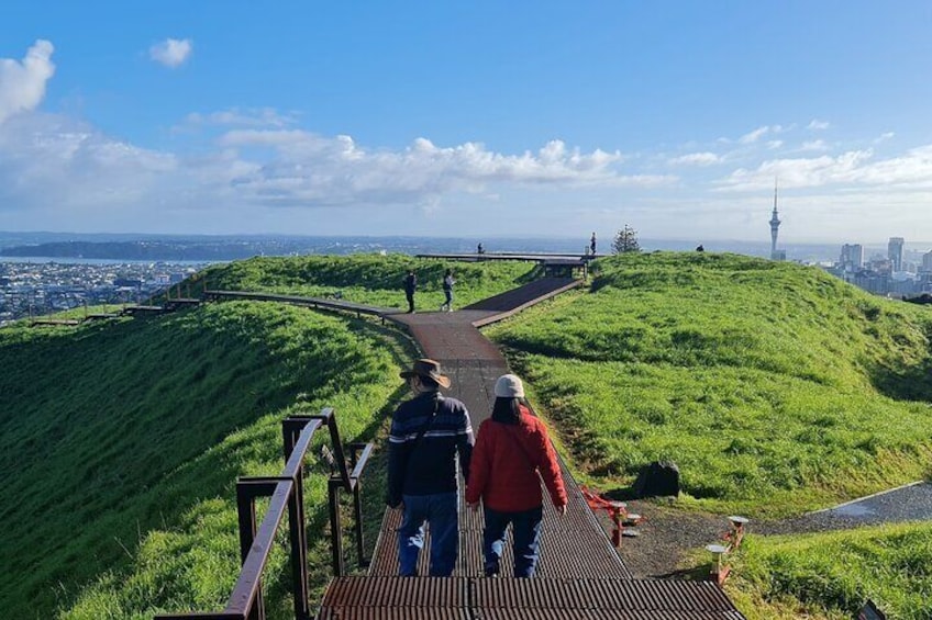 Auckland City Highlights Half Day Tour