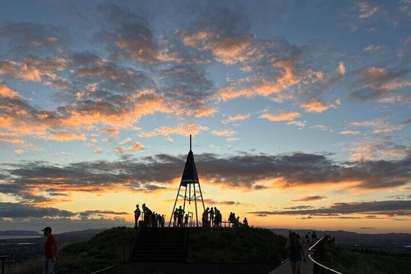 Auckland City Highlights Half Day Tour