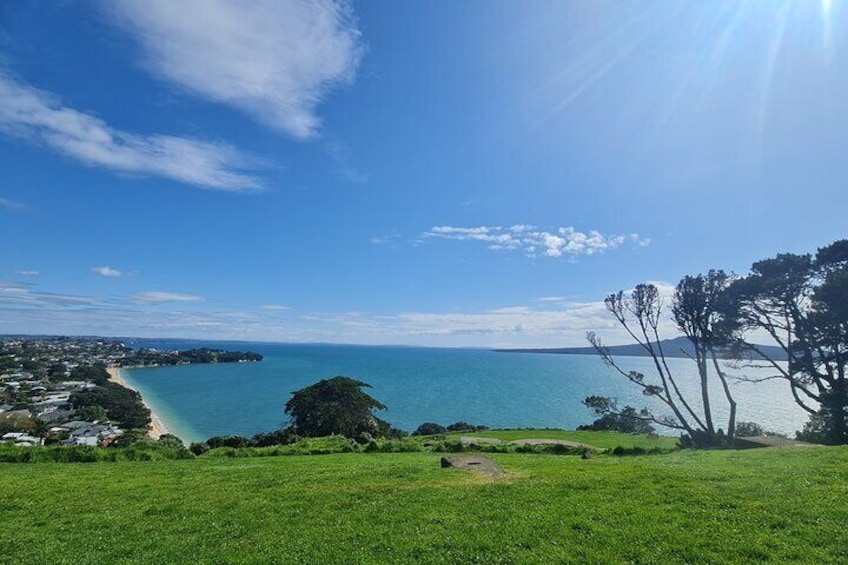 Auckland City Highlights Half Day Tour