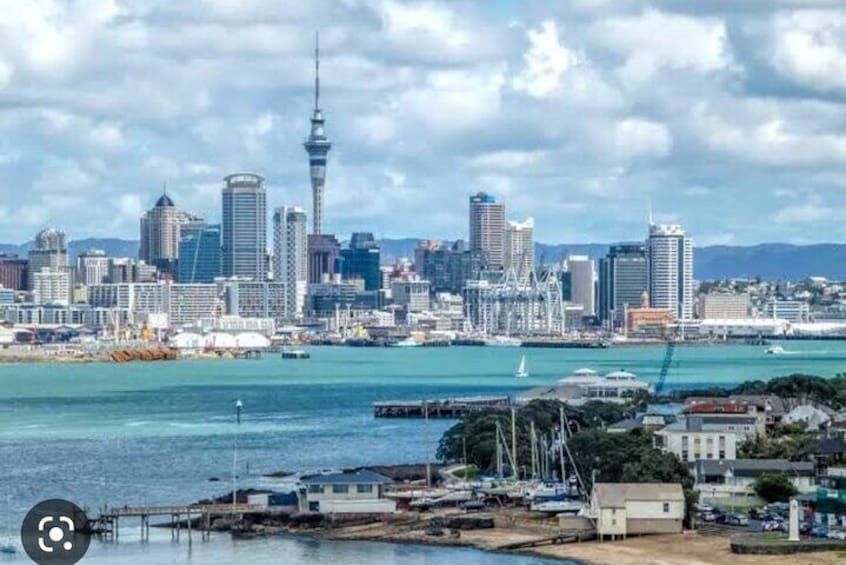 Auckland City Highlights Half Day Tour