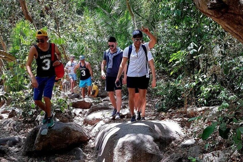 4-Hour Jungle Hike and Waterfall Swim